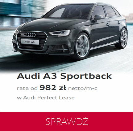 audi_sprawdz2